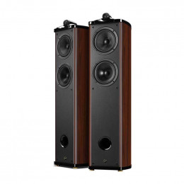 Swan Diva 6.3F