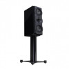 Perlisten Audio R5m