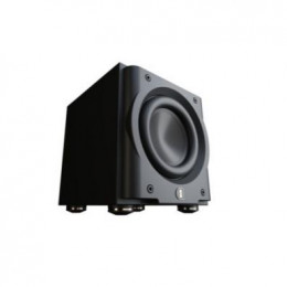 Perlisten Audio R8s