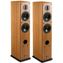 Aurum Cantus 620
