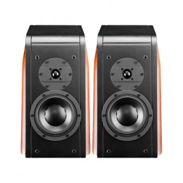 Swan D3.1